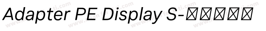 Adapter PE Display S字体转换